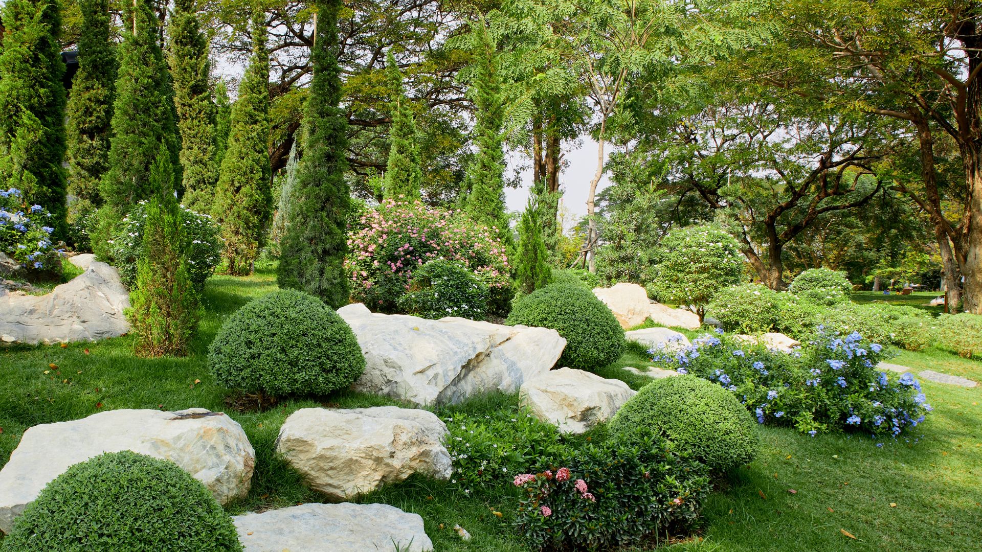 Landscaped garden with rocks, manicured shrubs, blue flowers, and cypress trees