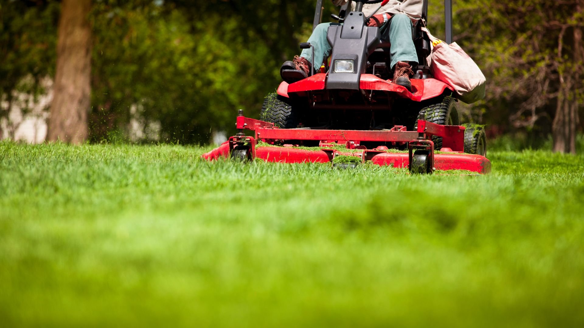 Red riding lawn mower cutting green grass in a backyard